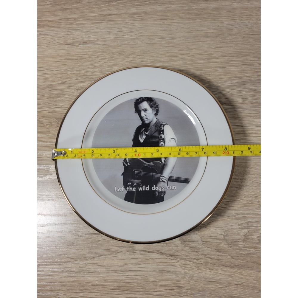 Bruce Springsteen Let the Wild Dogs Run Collector Plate - Picture 5 of 5